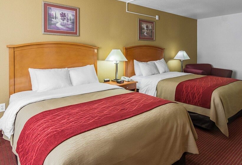 スイート, Comfort Inn & Suites Chesapeake  Portsmouth