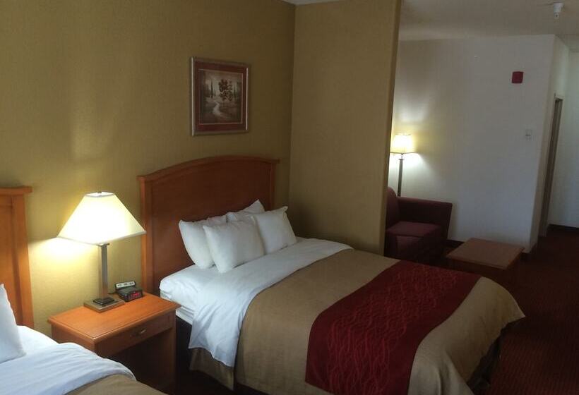 スイート, Comfort Inn & Suites Chesapeake  Portsmouth