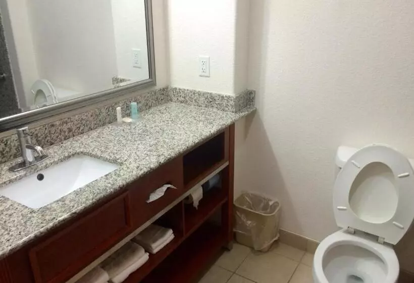 キングサイズベッドのスタンダードルーム, Comfort Inn & Suites Chesapeake  Portsmouth