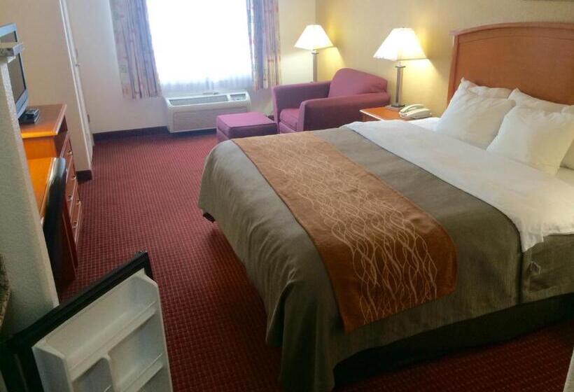 Стандартный Номер Кровать Кинг, Comfort Inn & Suites Chesapeake  Portsmouth