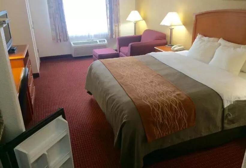 キングサイズベッドのスタンダードルーム, Comfort Inn & Suites Chesapeake  Portsmouth
