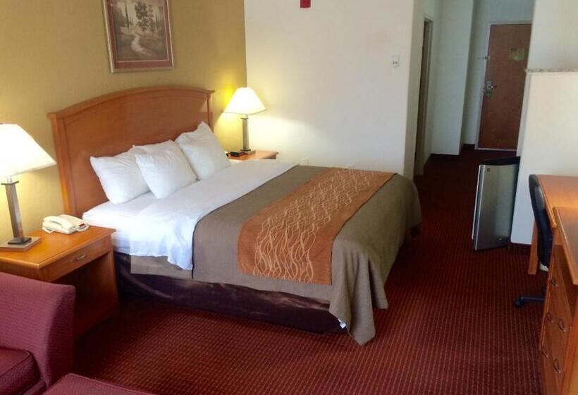 キングサイズベッドのスタンダードルーム, Comfort Inn & Suites Chesapeake  Portsmouth