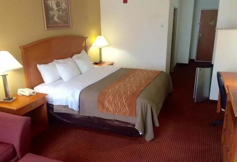 キングサイズベッドのスタンダードルーム, Comfort Inn & Suites Chesapeake  Portsmouth