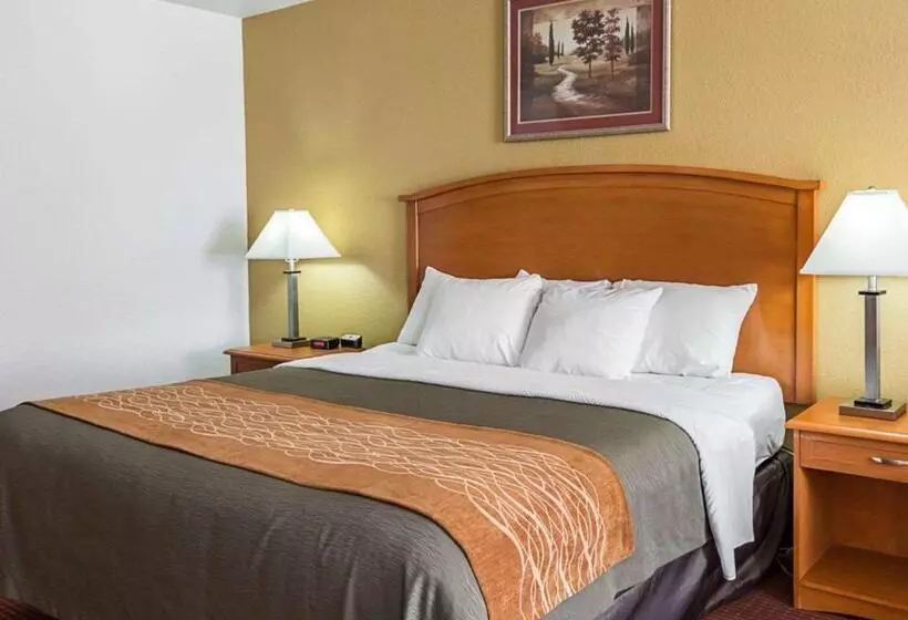 キングサイズベッドのスイートルーム, Comfort Inn & Suites Chesapeake  Portsmouth