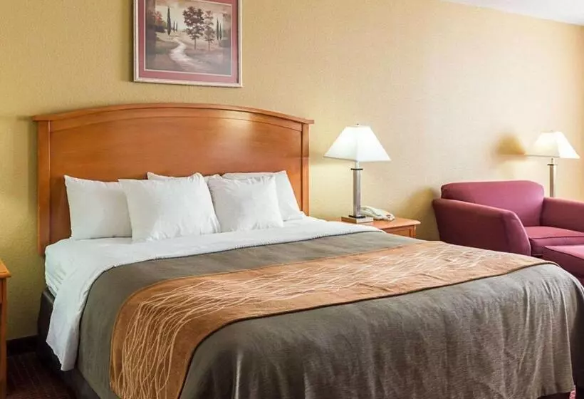 キングサイズベッドのスイートルーム, Comfort Inn & Suites Chesapeake  Portsmouth