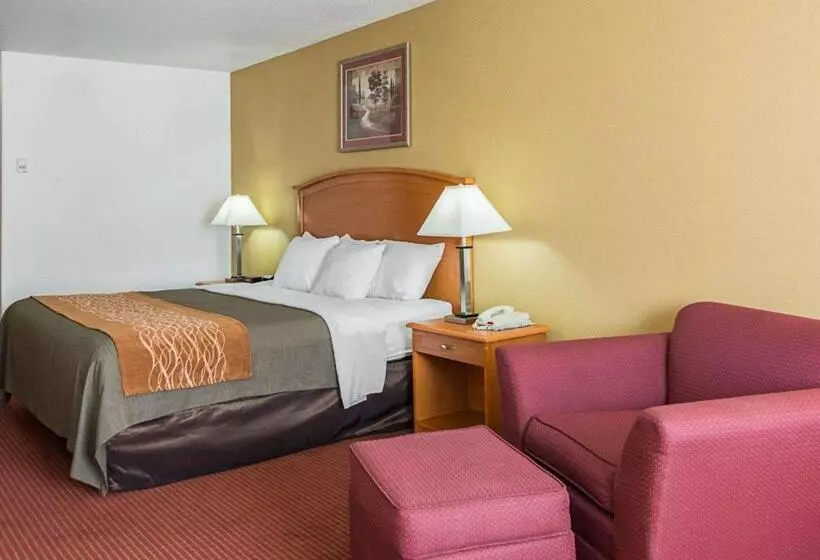 キングサイズベッドのスイートルーム, Comfort Inn & Suites Chesapeake  Portsmouth