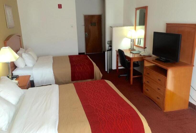 スタンダードルーム, Comfort Inn & Suites Chesapeake  Portsmouth