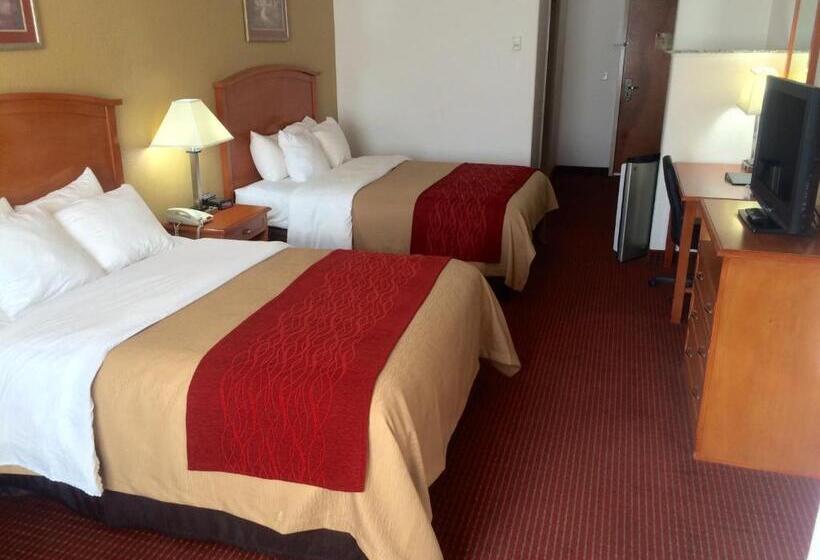 スタンダードルーム, Comfort Inn & Suites Chesapeake  Portsmouth
