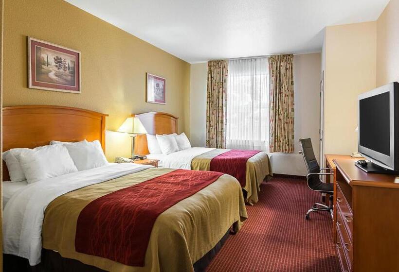 スタンダードルーム, Comfort Inn & Suites Chesapeake  Portsmouth