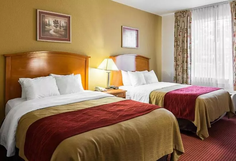 スタンダードルーム, Comfort Inn & Suites Chesapeake  Portsmouth