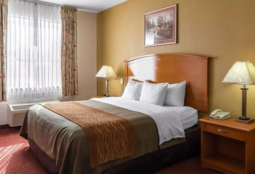 キングサイズベッドのスイートルーム, Comfort Inn & Suites Chesapeake  Portsmouth