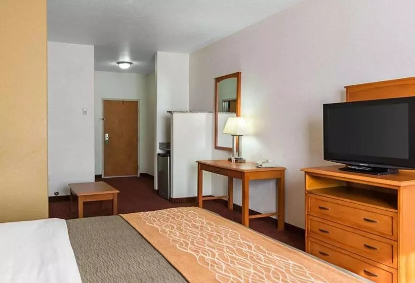 キングサイズベッドのスイートルーム, Comfort Inn & Suites Chesapeake  Portsmouth