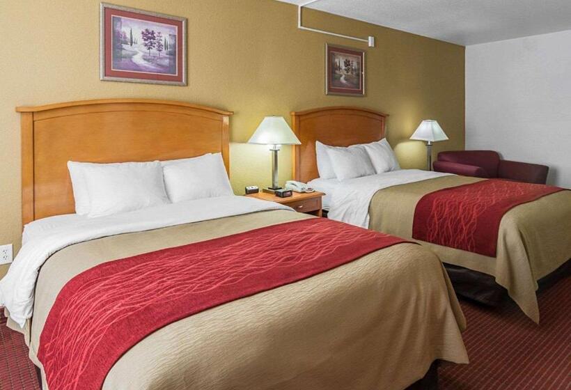 スイート, Comfort Inn & Suites Chesapeake  Portsmouth