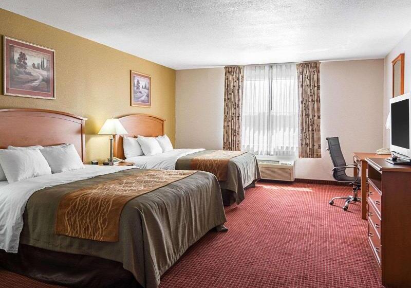 キングサイズベッドのスタンダードルーム, Comfort Inn & Suites Chesapeake  Portsmouth