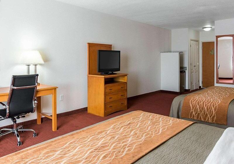 キングサイズベッドのスタンダードルーム, Comfort Inn & Suites Chesapeake  Portsmouth
