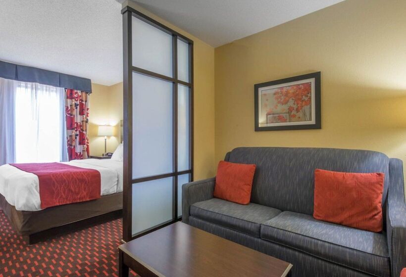 Люкс, Comfort Suites Altoona