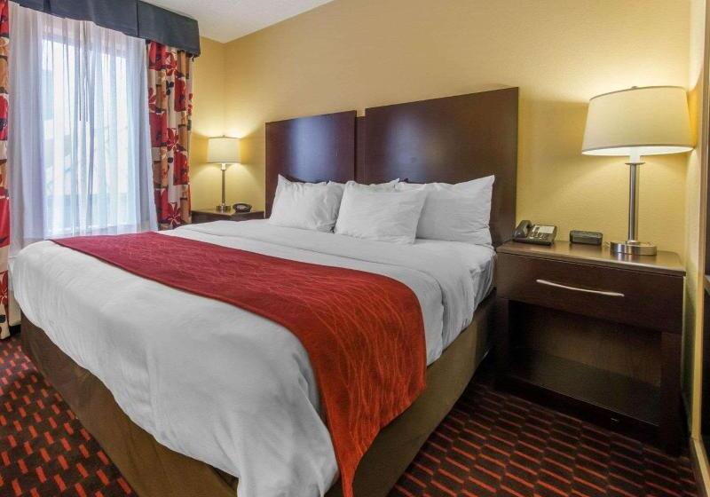 מיטת קינג בסוויטה, Comfort Suites Altoona
