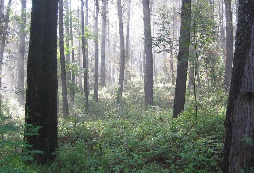 套房带园景, Hacienda Mariposas