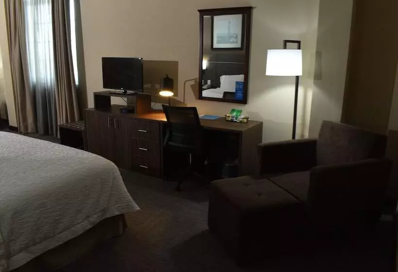 اتاق استاندارد با 2 تخت دوبل, Hampton Inn By Hilton Tampico Zona Dorada