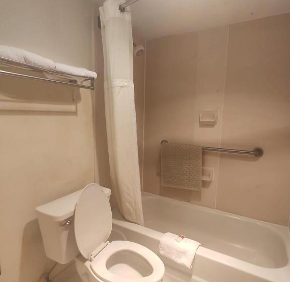 스위트 킹사이즈 침대, High Springs Inn