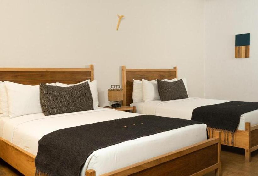 Quarto Estandar, Sombra Del Agua