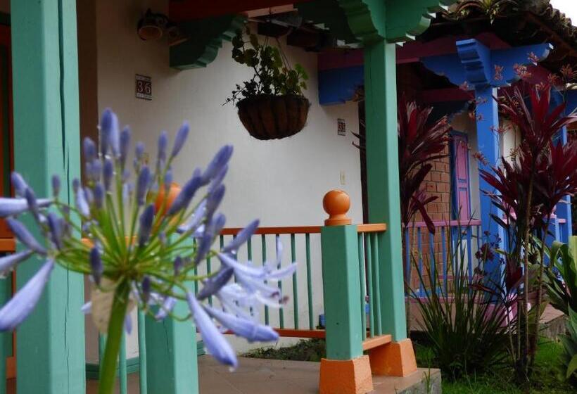 Четырехместный Номер Superior, Termales El Otoño