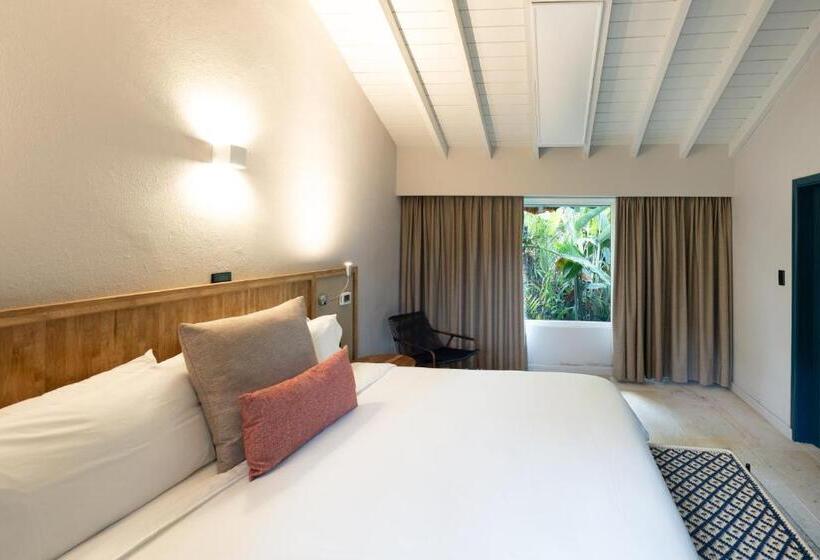 Полулюкс, Termales El Otoño