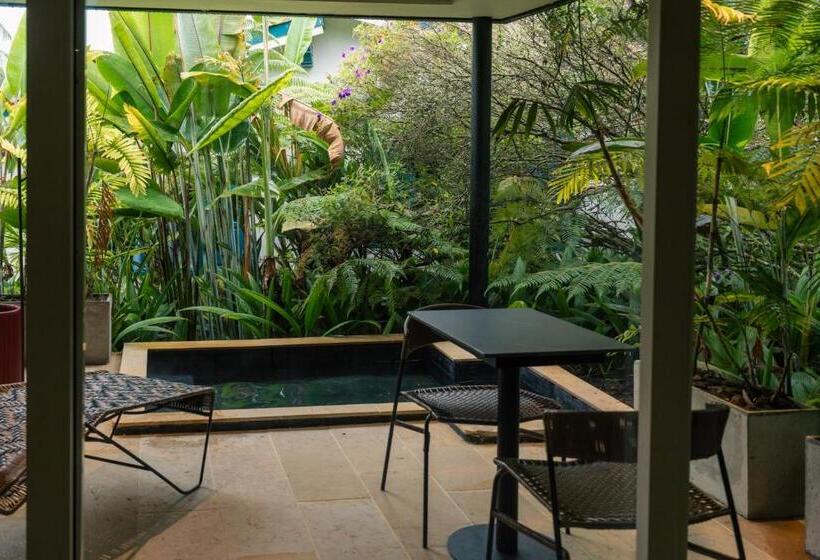 Люкс 2 Спальни, Termales El Otoño