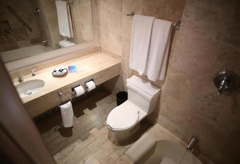 اتاق استاندارد با چشمانداز باغ, Montetaxco