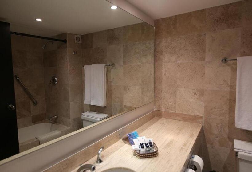 اتاق استاندارد با تخت بزرگ, Montetaxco