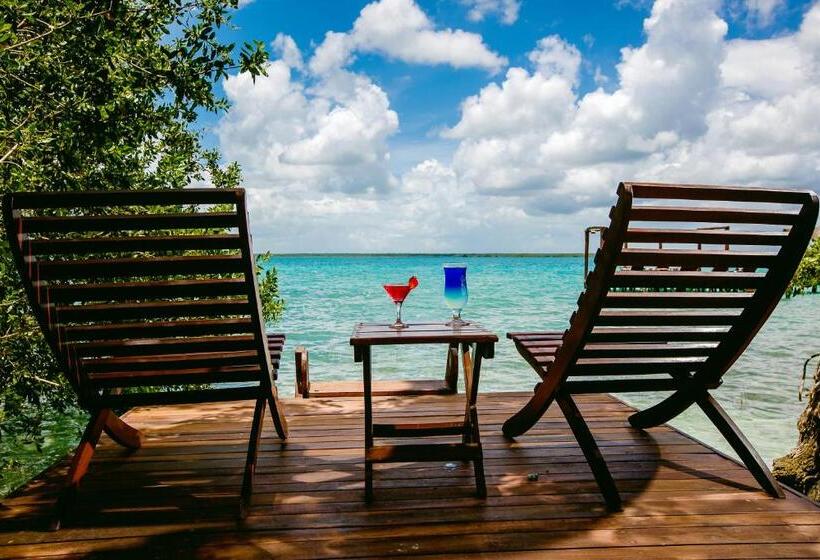 בקתה סטנדרטית, Rancho Encantado