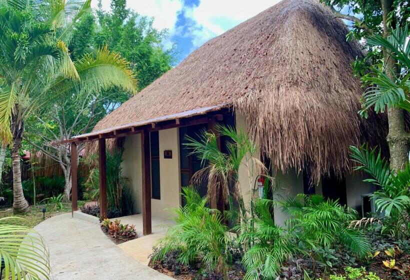 בקתה סטנדרטית, Rancho Encantado