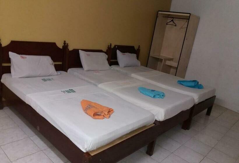 اتاق ساده سه نفره, Bee Hub Pension