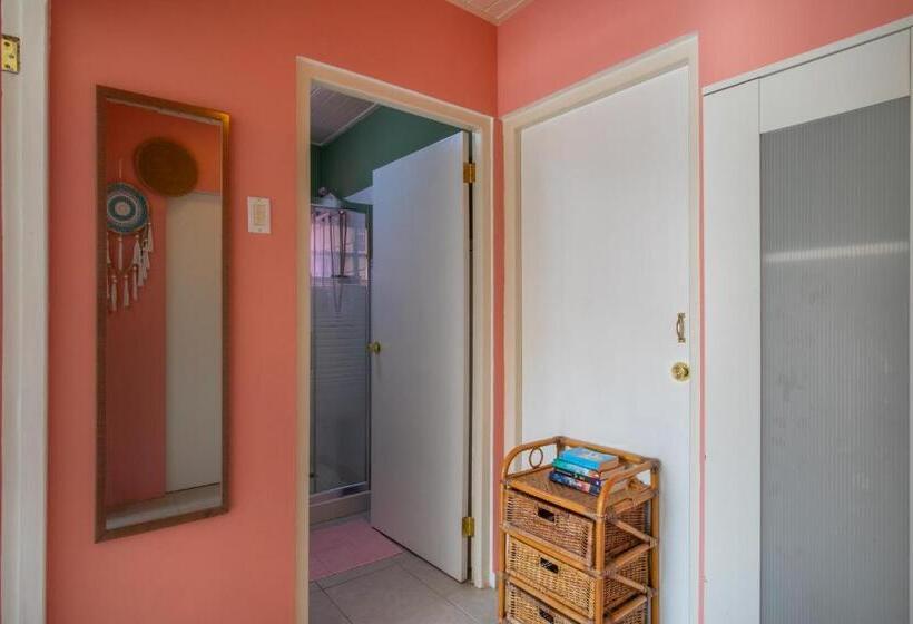 اتاق استاندارد چهارنفره با چشمانداز باغ, Happy Curoase