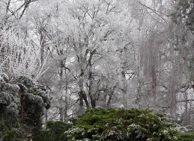 패밀리 룸 가든 전망, L Eden Proche Du Zoo De Beauval De Saint Aignan