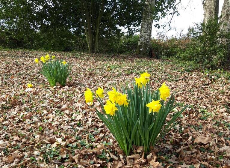 패밀리 룸 가든 전망, L Eden Proche Du Zoo De Beauval De Saint Aignan