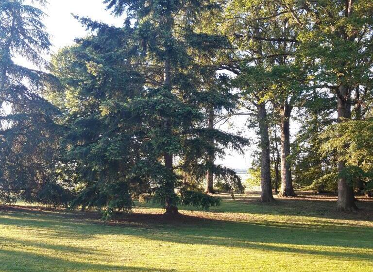 패밀리 룸 가든 전망, L Eden Proche Du Zoo De Beauval De Saint Aignan