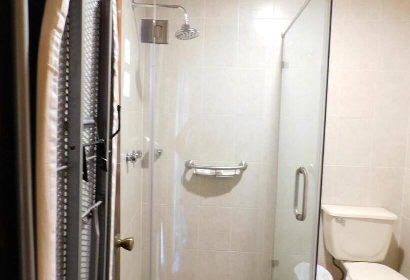 1 Bedroom Deluxe Apartment