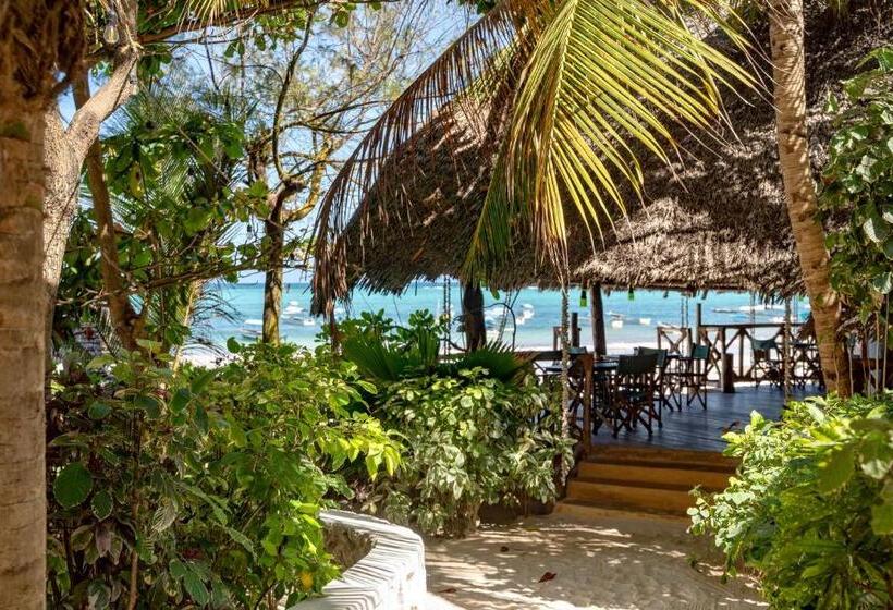 Номер Стандарт с Террасой, Hebe Bungalows Lodge