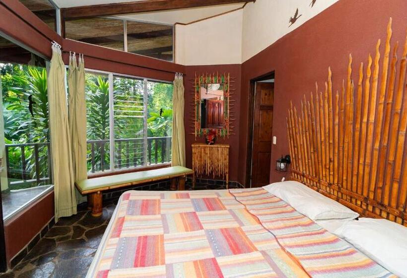 带大床的标准间, Heliconia Island
