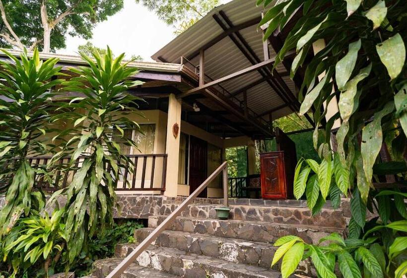 غرفة قياسية سرير كينج, Heliconia Island