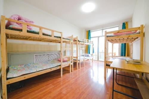 공동 객실, Hohhot Hanggai International Youth Hostel