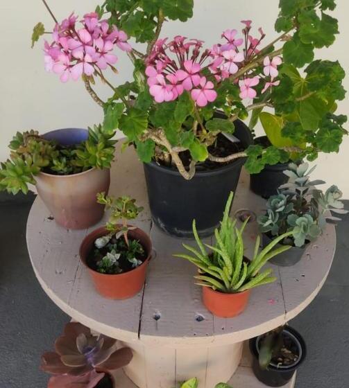 غرفة قياسية ثلاثية, Hospedagem Santo Agostinho