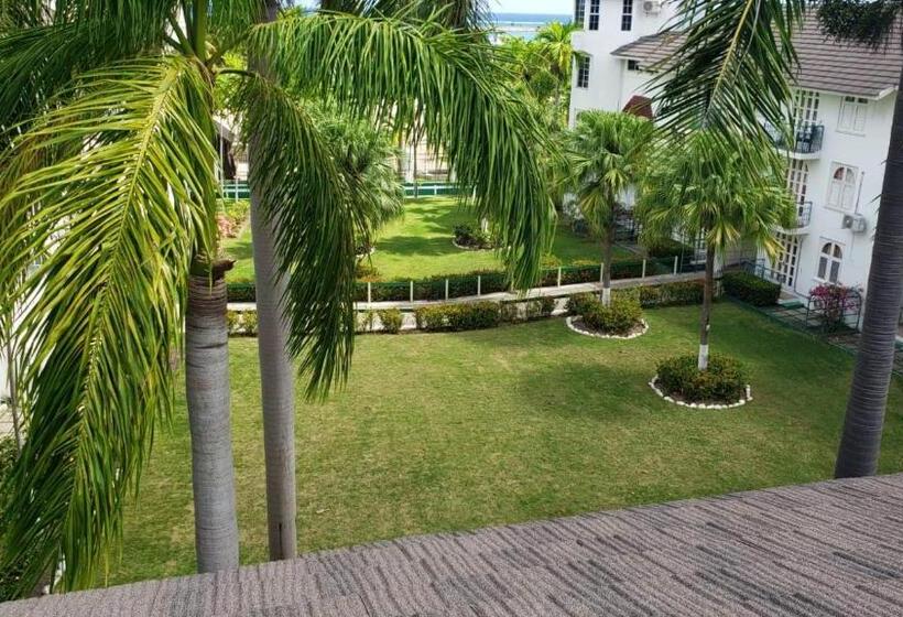 استودیوی استاندارد با چشم‌انداز دریا, Wins On The Beach