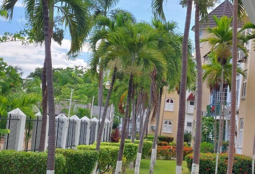 استودیوی استاندارد با چشم‌انداز دریا, Wins On The Beach