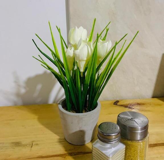 스탠다드 룸 공동 욕실, Bogotá Kings 301