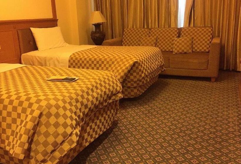 غرفة قياسية مطلة على المدينة, Taksila