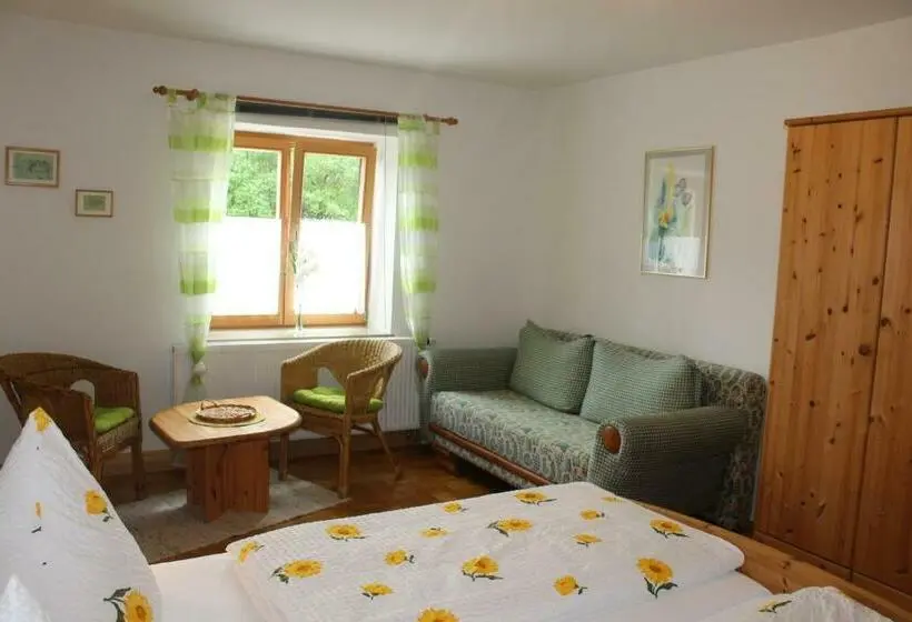 Appartamento 1 Camera da Letto con Terrazza, Schwaigerhof
