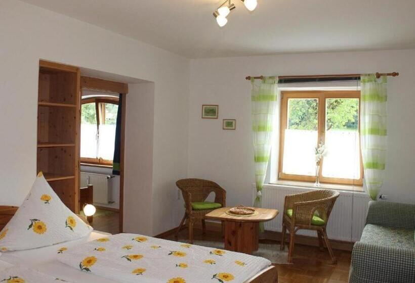 דירת חדר עם טרסה, Schwaigerhof