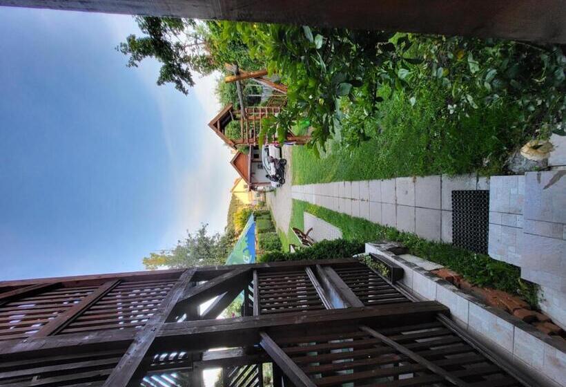 Номер Стандарт, Betty Panzio